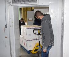 Mais 240,9 mil vacinas contra a Covid-19 chegam ao Paraná