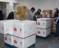 Mais 240,9 mil vacinas contra a Covid-19 chegam ao Paraná