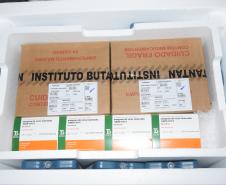 Mais 240,9 mil vacinas contra a Covid-19 chegam ao Paraná