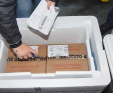 Mais 240,9 mil vacinas contra a Covid-19 chegam ao Paraná