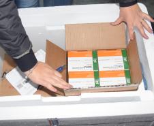 Mais 240,9 mil vacinas contra a Covid-19 chegam ao Paraná