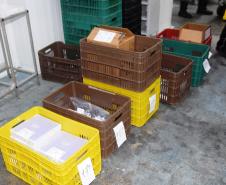 Saúde inicia distribuição de mais 283,7 mil vacinas contra a Covid-19