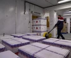Paraná recebe mais 184.250 vacinas da AstraZeneca e completa 40ª pauta de entrega