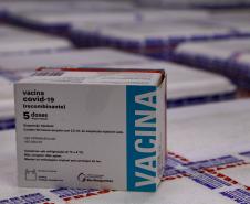 Paraná recebe mais 184.250 vacinas da AstraZeneca e completa 40ª pauta de entrega