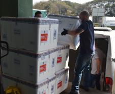 325.660 doses chegam ao Paraná e permitem avançar na imunização do público com mais de 18 anos