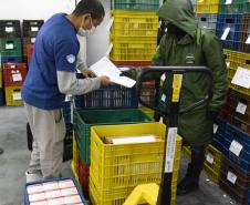 Estado distribui 445.388 vacinas contra a Covid-19 e 49.750 medicamentos para intubação; veja divisão