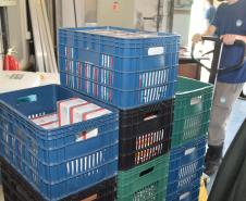 Estado distribui 445.388 vacinas contra a Covid-19 e 49.750 medicamentos para intubação; veja divisão