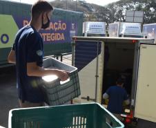 Estado distribui 445.388 vacinas contra a Covid-19 e 49.750 medicamentos para intubação; veja divisão