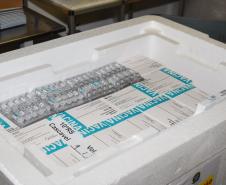 Estado distribui 445.388 vacinas contra a Covid-19 e 49.750 medicamentos para intubação; veja divisão