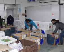 Chegam ao Paraná 107.640 doses de imunizante da Pfizer contra Covid-19 