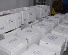 Chegam ao Paraná 107.640 doses de imunizante da Pfizer contra Covid-19 