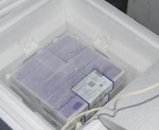 Chegam ao Paraná 107.640 doses de imunizante da Pfizer contra Covid-19 