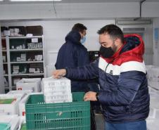 Chegam ao Paraná 107.640 doses de imunizante da Pfizer contra Covid-19 