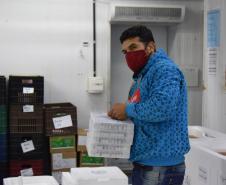 Chegam ao Paraná 107.640 doses de imunizante da Pfizer contra Covid-19 