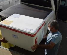  Paraná distribui nesta segunda-feira 223.268 doses de vacinas contra a Covid-19