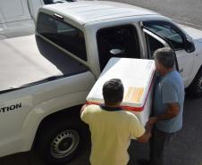  Paraná distribui nesta segunda-feira 223.268 doses de vacinas contra a Covid-19