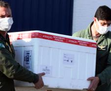  Paraná distribui nesta segunda-feira 223.268 doses de vacinas contra a Covid-19