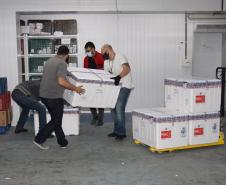 Estado recebe mais 232.250 vacinas contra a Covid-19; lote completa remessa de 435.290 doses