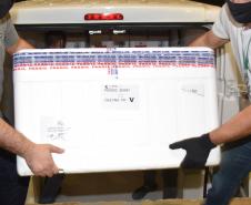 Estado recebe mais 232.250 vacinas contra a Covid-19; lote completa remessa de 435.290 doses