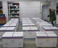 Estado recebe mais 232.250 vacinas contra a Covid-19; lote completa remessa de 435.290 doses