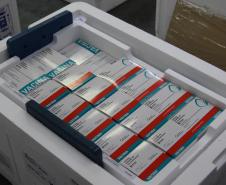 Estado recebe mais 232.250 vacinas contra a Covid-19; lote completa remessa de 435.290 doses