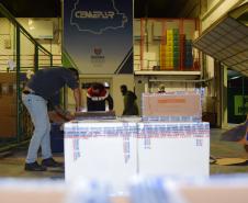 Estado recebe mais 175,5 mil vacinas contra a Covid-19