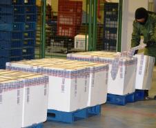 Estado recebe mais 175,5 mil vacinas contra a Covid-19