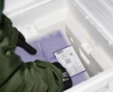 Estado recebe mais 175,5 mil vacinas contra a Covid-19