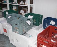 Mais de meio milhão de vacinas contra a Covid-19 serão distribuídas nesta sexta-feira