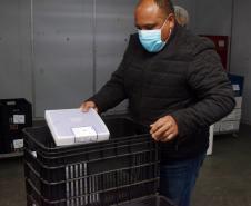 Mais 182 mil vacinas contra a Covid-19 chegam ao Paraná