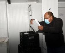 Mais 182 mil vacinas contra a Covid-19 chegam ao Paraná