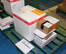 Saúde distribui mais 207,5 mil vacinas contra a Covid-19; lote é integralmente para segunda dose