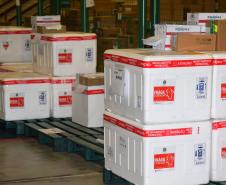 Saúde distribui mais 207,5 mil vacinas contra a Covid-19; lote é integralmente para segunda dose