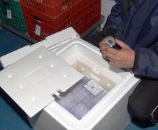 Mais 79,5 mil vacinas contra a Covid-19 chegam ao Paraná