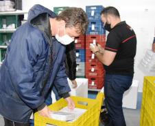 Mais 79,5 mil vacinas contra a Covid-19 chegam ao Paraná