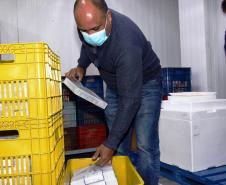 Mais 79,5 mil vacinas contra a Covid-19 chegam ao Paraná