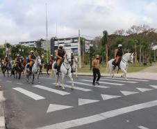 Governo do Estado homenageia profissionais da saúde em cerimônia da Semana da Pátria