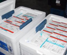 Novas 87 mil doses de vacinas contra a Covid-19 chegam ao Paraná