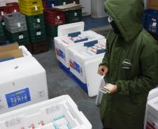 Novas 87 mil doses de vacinas contra a Covid-19 chegam ao Paraná