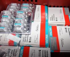 Paraná recebe 136,8 mil vacinas contra a Covid-19 e inicia distribuição de 361,7 mil imunizantes nesta sexta