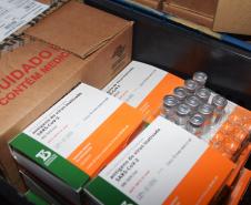Paraná recebe 136,8 mil vacinas contra a Covid-19 e inicia distribuição de 361,7 mil imunizantes nesta sexta