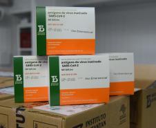 Mais 187 mil doses chegaram ao Paraná neste sábado