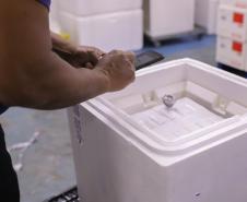 Mais 156 mil vacinas chegam ao Estado nesta quarta-feira (8)