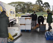 Paraná se prepara para iniciar vacinação de adolescentes e dose reforço contra a Covid-19