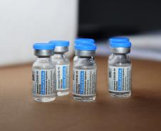 8 milhões de paranaenses iniciaram a imunização contra a Covid-19; mais de 91,8% da população adulta