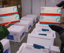 Imunizantes que chegaram nesta quinta ao Paraná serão usados para completar esquema vacinal