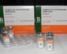 Paraná recebe mais 363 doses da vacina contra a Covid-19 neste sábado (18)