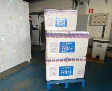 Paraná recebe 55,2 mil vacinas contra a Covid-19 para segunda dose; 229,3 mil chegam à noite