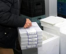 Mais de 176 mil vacinas contra a Covid-19 chegam ao Estado neste sábado 