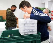 Mais de 176 mil vacinas contra a Covid-19 chegam ao Estado neste sábado 